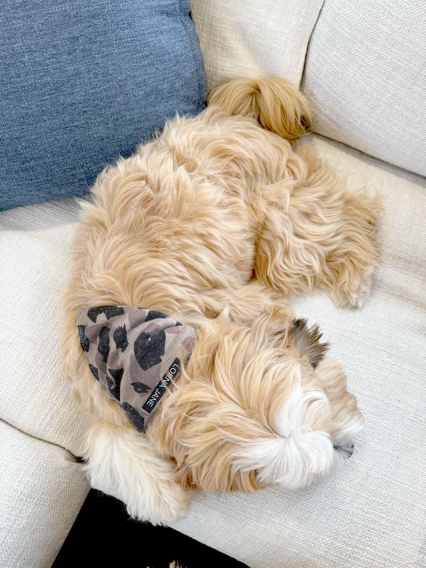 Lorna Jane Bandana Dog Collar - Abstract Cheetah Print